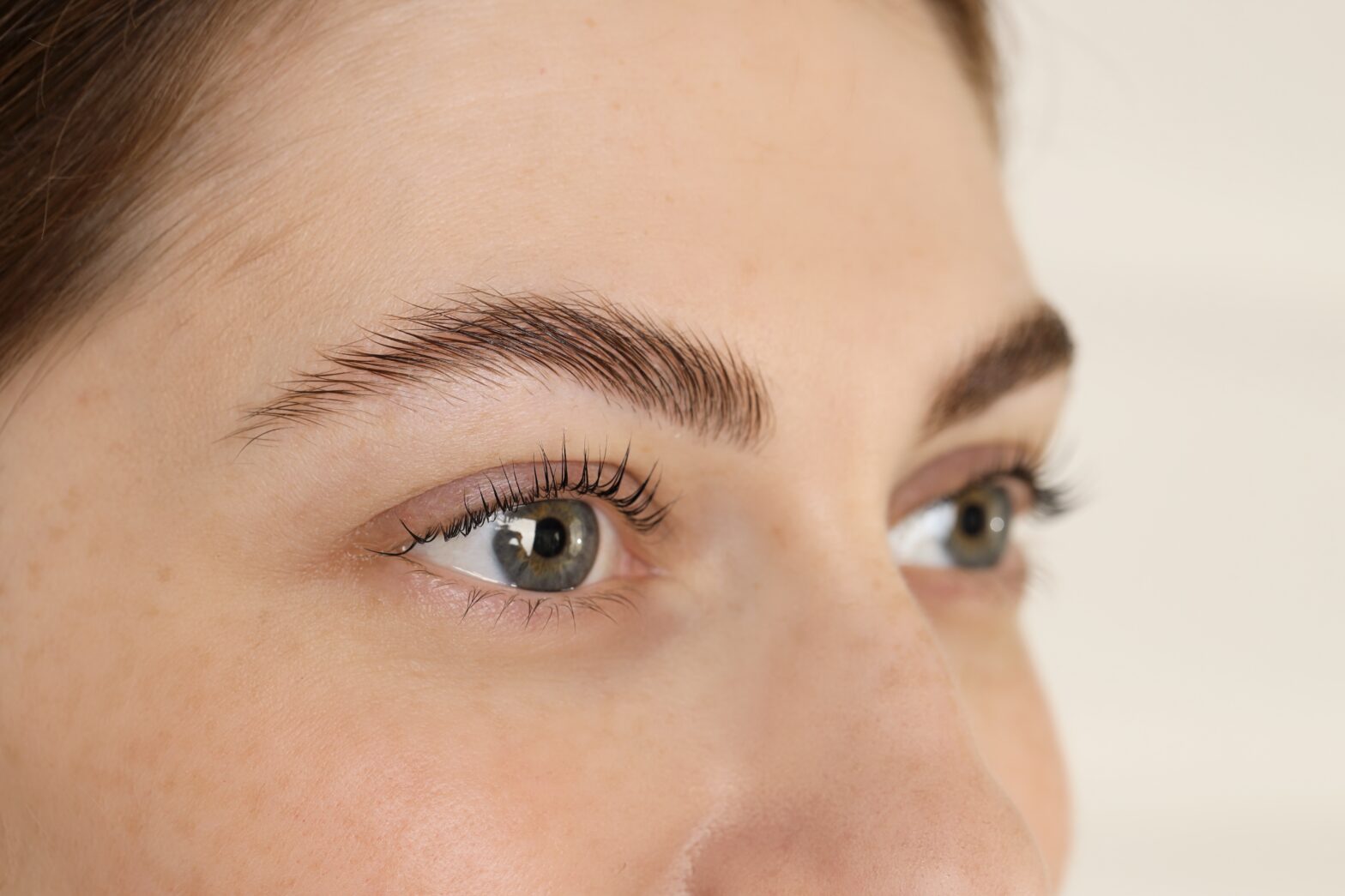 Close up of women's brows and eyes